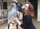 Vă mai amintiţi de Pamela Ewing din Dallas? La 70 de ani, Victoria Principal trăieşte singură şi s-a îmbogăţit din afaceri, după ce a renunţat la actorie
