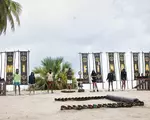 Cine sunt finaliștii Survivor România 2026. Patru concurenți au intrat în Marea Finală a competiției din Republica Dominicană