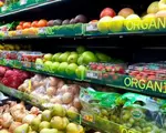 Un cercetător spune care e alimentul care te ajută să trăieşti mai mult. Fructul considerat elixirul tinereţii