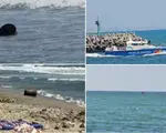 Alertă pe litoralul românesc: obiecte suspecte au apărut în Portul Tomis din Constanța și la Eforie Nord