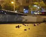 Zeci de șobolani, filmați cum mişună nestingheriţi în centrul Bucureștiului. Reacţia Primăriei Capitalei