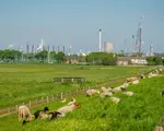Un sat vechi de sute de ani ar putea fi șters de pe fața pământului pentru a face loc unor stații electrice