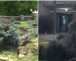 Oraşul din România măturat de vijelie. Oamenii s-au baricadat în case, vântul a smuls copaci şi acoperişuri