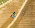 Leguma care a ajuns mai ieftină decât costul de producție. Fermierii români o dau gratis sau o aruncă