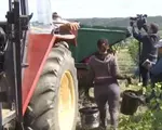 Judeţul care caută sute de zilieri, dar puţini vor să muncească. Se pot câştiga şi 400 de lei pe zi