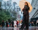 Cum va fi vremea în luna iunie. Ploi abundente, vijelii și temperaturi peste normal