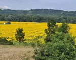 Comuna care a devenit un magnet pentru orăşeni. E căutată şi de românii din străinătate