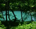 Lacul unic din România care îşi schimbă culoarea în funcţie de anotimp. Secretul din spatele fenomenului