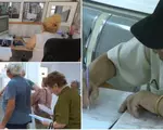 570.000 de români au primit pensii mai mari din greșeală. Câți bani vor trebui să restituie
