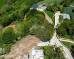 O pădure veche de 500 de ani, defrişată ilegal pentru turişti. "Rechinul" imobiliar a primit o lovitură grea