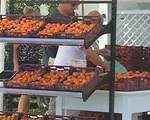 Fructul care duce România în topul producătorilor din UE. Cu cât se vinde un kilogram