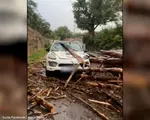 Cântăreţ celebru, la un pas să fie strivit de copac, în maşină. "Uitaţi cum era să mor"