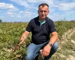 Fermierul care a renunțat la vite pentru bujori. Cultivă 65 de hectare și își vinde producția în Olanda