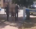 Un şofer băut şi-a lăsat nepoata să moară, după ce a lovit bicicleta pe care se afla alături de o prietenă