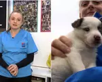Femei de Succes: Povestea Georgetei Gărduş, "îngerul animalelor din Dej". A salvat mii de vieţi în 20 de ani