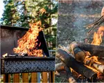 Acesta este cel mai bun lemn pentru grătar. Arde uniform, menține o temperatură ridicată și constantă, e potrivit pentru carnea de pui și de porc