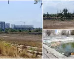 Arena sportivă din România, aflată într-un mare oraș, care a ajuns o ruină, după ce a fost abandonată de autorități în ultimii 20 de ani. Complexul s-a umplut de gunoaie și buruieni, deși lângă el s-au construit blocuri noi