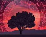 Zodiile care vor avea zile de vis până pe 20 iunie. Cinci nativi sunt protejați de Dumnezeu