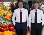 Lovitura financiară pe care au dat-o frații Pavăl, cei mai bogați patroni din fotbal. Proprietarii Dedeman vor vinde numai produse românești