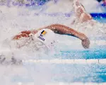 LIVE /  David Popovici, calificări și semifinale la 200 m liber, LIVE la CE de natație Paris 2026. David Popovici, al patrulea pe clasamentul general după seriile de dimineață. Ce timp a scos „Rechinul”