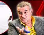 Gigi Becali, reacţie surpriză în scandalul de la Rapid – Dinamo: „M-am supărat eu când au pus oaia? Nu îmi e ruşine de adevărul meu”