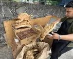 Tacos, condimente și... „grăsuțe” umplute cu șorici crocant » „Street food” altfel în Ciudad de Mexico