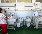 Cvadrupleți născuți prematur la Miercurea Ciuc, transferați la Maternitatea Brașov. Zeci de medici s-au mobilizat pentru a-i salva. Niciunul nu cântărea mai mult de 800 grame