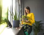 Ce este răcirea pasivă și cum poate reduce temperatura din locuințe fără să folosești aerul condiționat