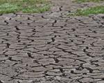 Cum ar putea „Godzilla” El Niño să schimbe lumea, mai ales Europa
