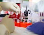Spitalul din Ștei unde a fost confirmat un român infectat cu hantavirus a fost amendat. Ce se întâmplă cu pacienții