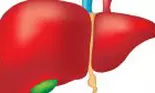 Afectiunile hepatice de la A la E