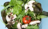 Pledoarie pentru vegetale