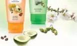 Crema Hidratanta si Nutritiva pentru maini Elmiplant