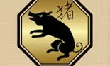 Compatibilitati in zodiacul chinezesc – Porc (Mistret)