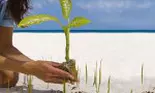 Traieste ecologic. Fii eco!