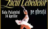 Patinaj artistic „Lacul Lebedelor”