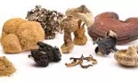 Ciupercile Medicinale: un dar al naturii