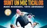Sunt un mic ticalos (film)