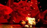 Compania Passe-Partout Dan Puric joaca Don Qijote la Teatrul National Bucuresti