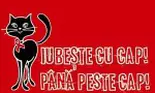 Un program pentru prevenirea HIV/SIDA in Romania