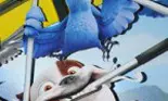 TVR a fost partener la vizionarea in avanpremiera a animatiei RIO