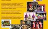 Festival Cultural Thailanda 2011
