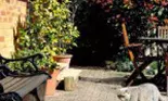 Gradina de vara, locul tau de relaxare
