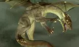 Anul Dragonului de Apa