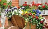 Coloreaza-ti gradina!