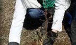 Padurea Copiilor prinde viata – voluntari celebri i-au dat nastere