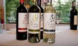 Fluturi & Farfalle, noua gama de vinuri Halewood International & Antinori