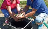 Vara mea inseamna… eco-delicatese din pastrav