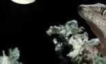 Horoscop: O săptămâna care ne va schimba vibraţia.