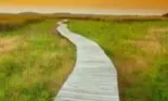 Horoscop: O săptămână în care dorinţele devin realitate!